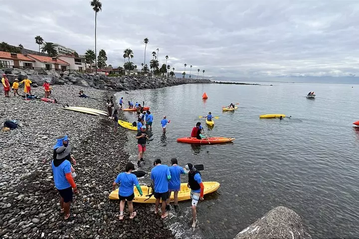Adventure Tour in Kayak at La Bufadora with Lobster, Oyster Feast
