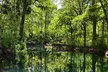 1-Day Silver Springs State Park Small Group Tour from Orlando - Second Medium