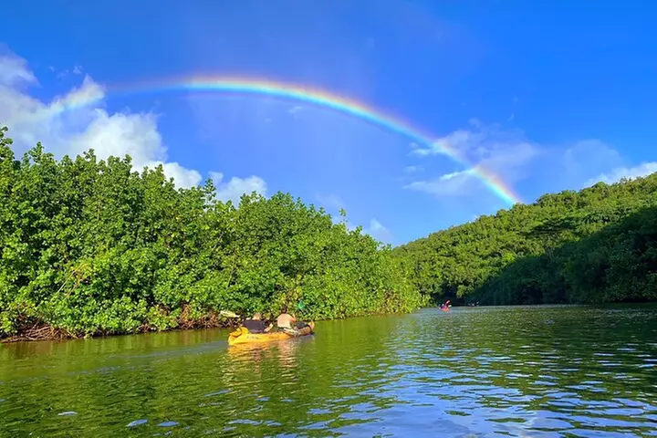 Kauai Adventure: Kayak & Hike to Secret Falls with Expert Guide