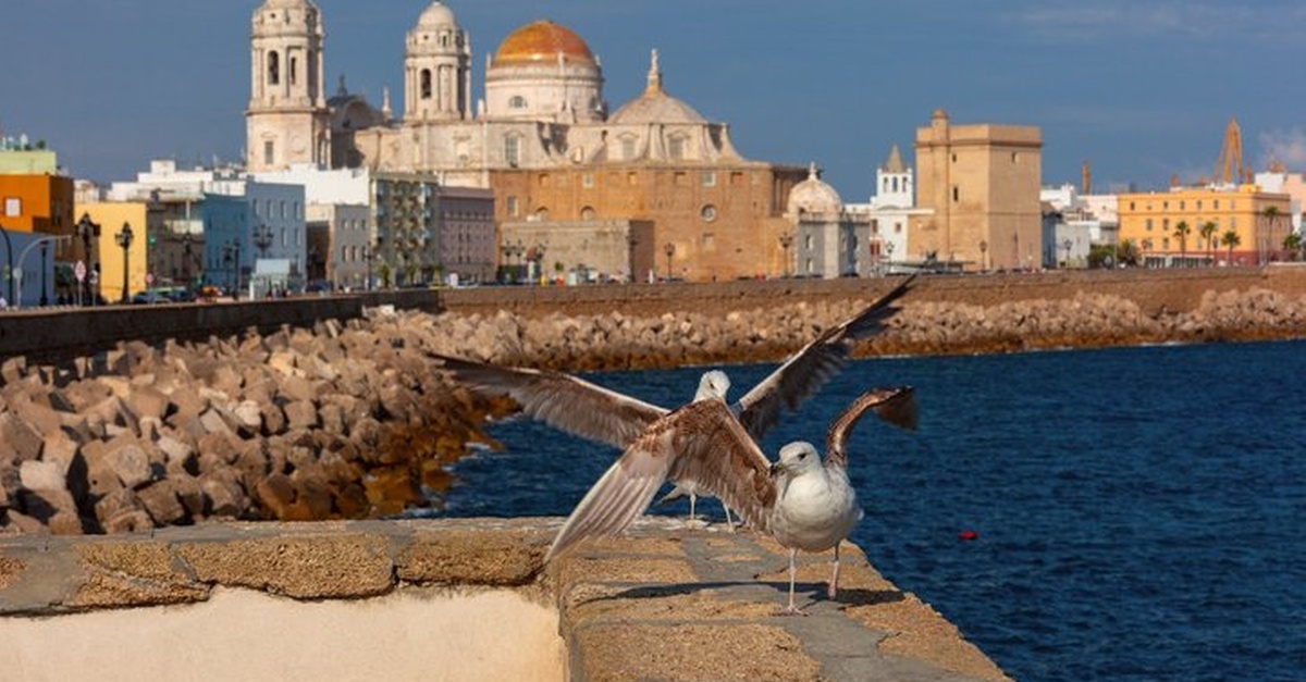 Experiencia de navegación privada en la bahía de Cádiz