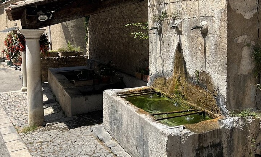 Image 5: Visite privée des gorges du Verdon et des lavandes de Valensole
