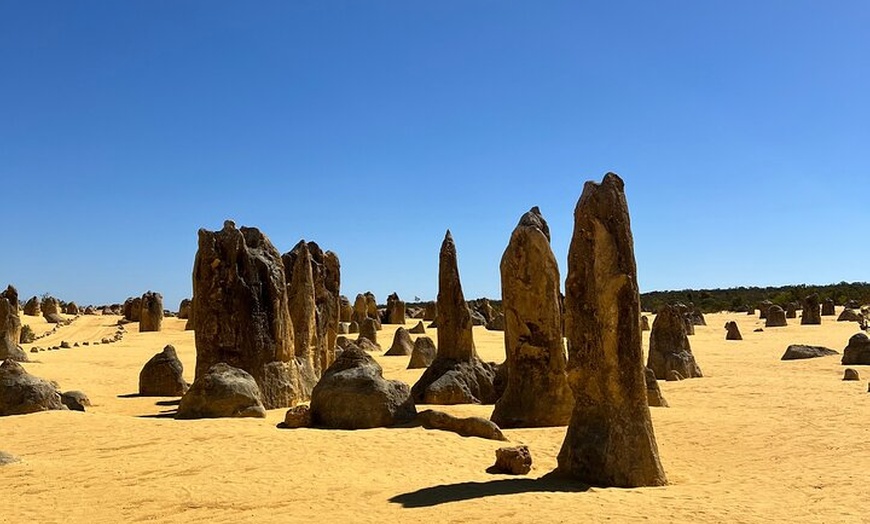 Image 20: Turquoise Coast and Pinnacles Desert, Lunch Included.