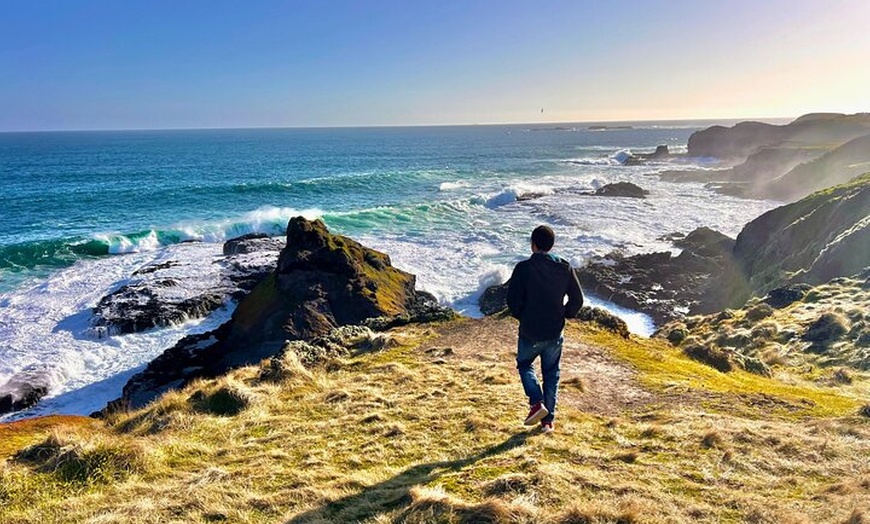 Image 7: Puffing Billy Tour and Penguin Parade from Melbourne