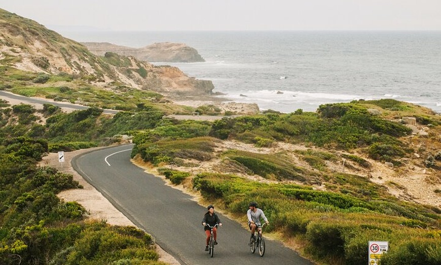 Image 11: Explore Mornington Wildlife Wine and Hot Springs