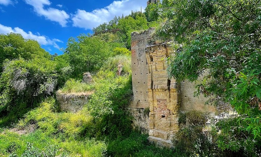 Image 5: Caza del carroñero de Granada autoguiada