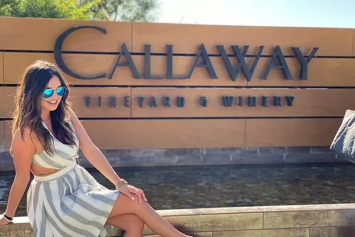 Private Temecula Wine Tour in The Wine Valley