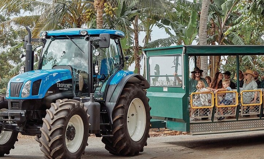 Image 7: Murwillumbah Railway Station Bike Tour Byron Bay