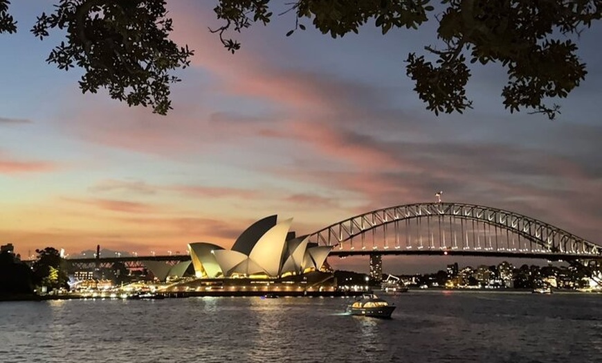 Image 5: Sydney: 90-Minute Panoramic Big Bus Night Tour
