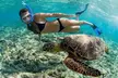 Private Snorkel and Dive Charter to Culebra (Up to 5 Guests) - Second Medium