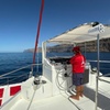 Image 9: Viaje de 4 horas en lujoso catamarán desde Puerto Rico