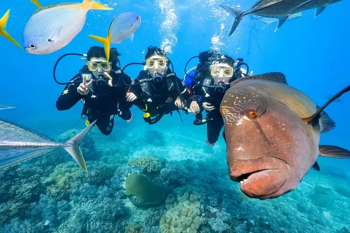 Reef Tour with SCUBA Dive from Cairns, pontoon with activities - Primary Image