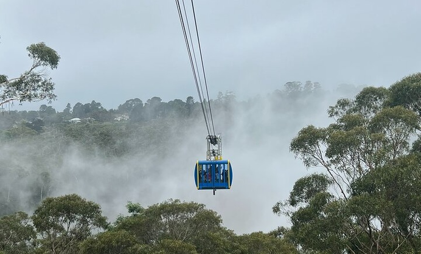 Image 16: Blue Mountains Private Tour & Hidden Gems, Pick up & Drop off