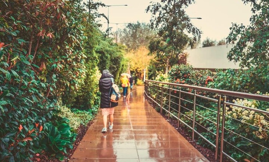 Image 8: Bicester Village Shopping Day with Chauffeur Service