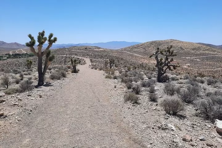 Las Vegas ATV Tours