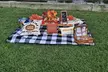 Bike & Brunch - Grab & Go - Second Medium