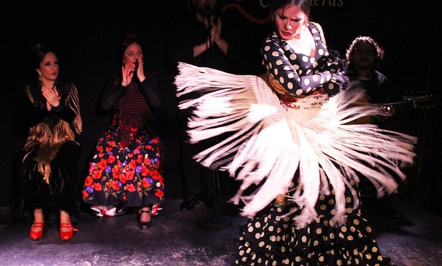 Image 4: Excursión gastronómica y cultural privada de Málaga : Tapas & Flamenco