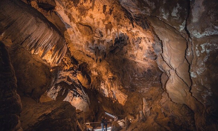 Image 22: 6 Day Island Icons Tassie Day Tour Bundle