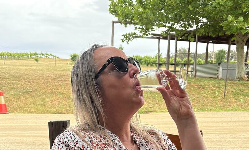 Image 3: Full Day Wine Tour in the Hilltops Region, NSW