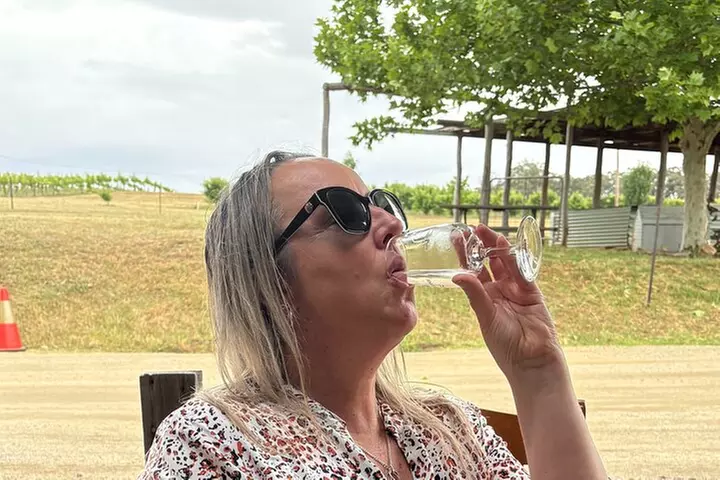 Full Day Wine Tour in the Hilltops Region, NSW - Image 3