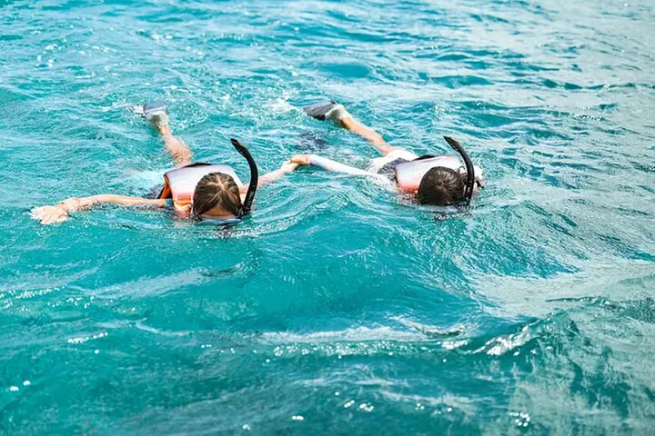 Venture Wildlife Snorkel Charter from Ko Olina