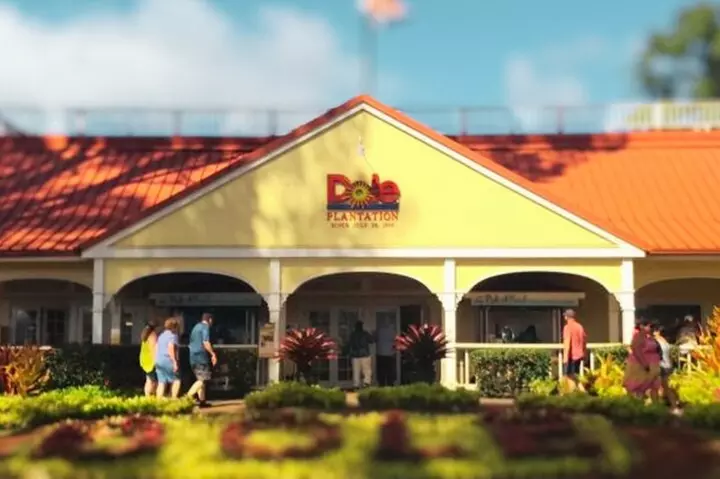 North Shore Foodie Fun: Eat, Explore, Enjoy (Incl. Dole) - Primary Image