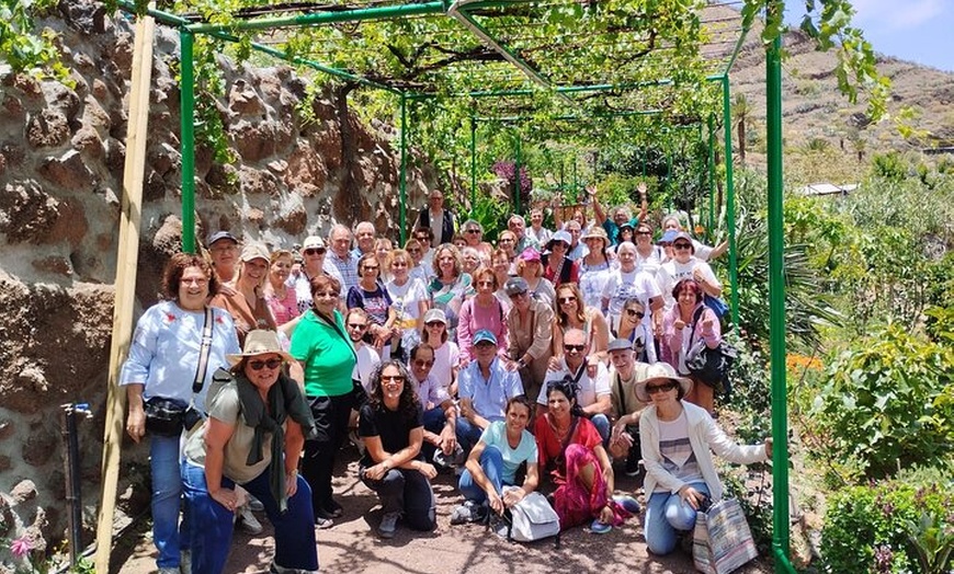 Image 15: Explora el Café de Gran Canaria en Finca Los Castaños