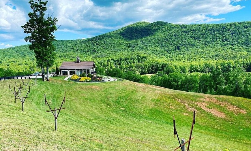 Image 6: Helen Hike Wine and Dine Private Tour from Atlanta