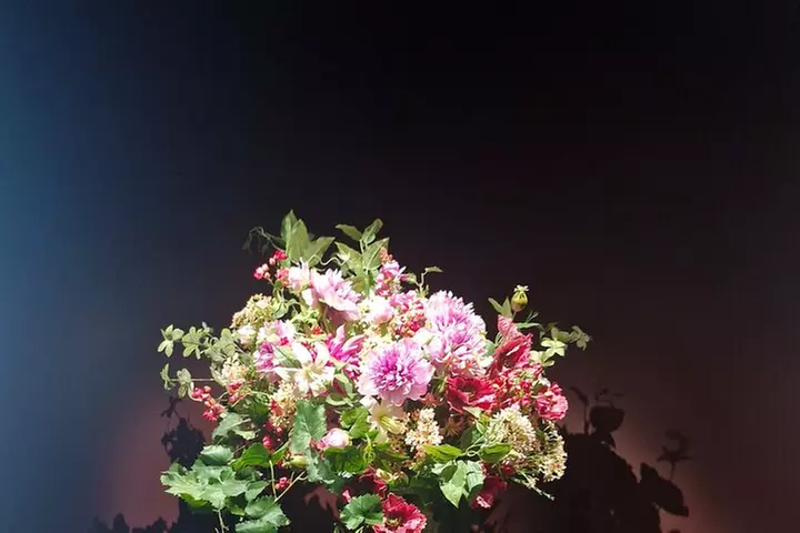 Transfert privé pour les femmes de CDG à Paris - Primary Image