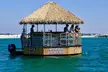 Dolphin Sightseeing Tiki Boat Tour 90 minutes - Second Medium