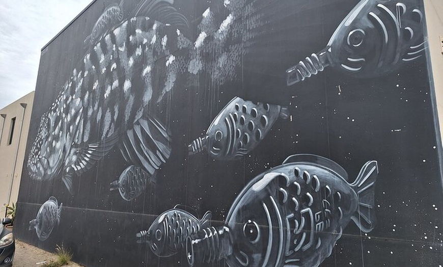 Image 4: Port Adelaide Walking Tour and Dolphin Cruise