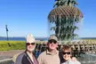 Charm of Charleston - Walk Through Time with a Charleston Native - Second Medium