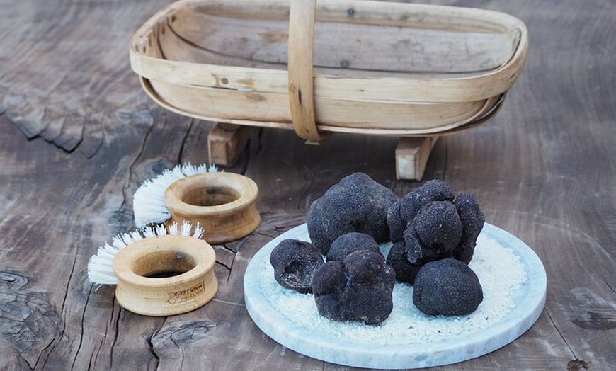 Image 2: Truffle Hunt and Truffle Pizza Experience in Red Hill
