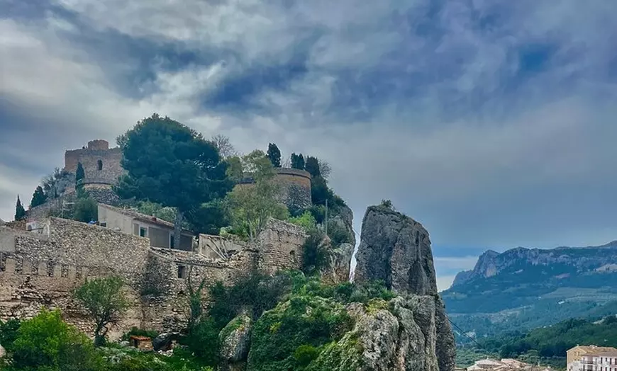 Image 9: Bodega Premium con 7 Catas y Castillo desde Alicante y Benidorm