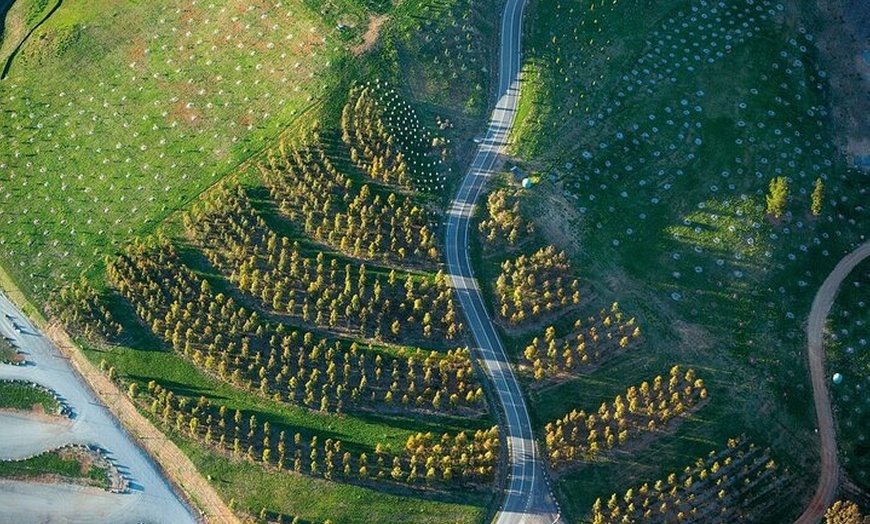 Image 3: Full Day Private Canberra Day Trip From Sydney