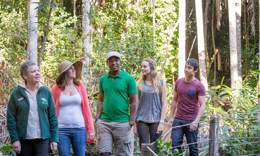 Image 5: Sea Acres Rainforest Boardwalk Tour