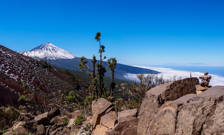 Image 5: Parque Nacional del Teide Paisajes y vida silvestre del volcán Safa...