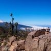 Image 5: Parque Nacional del Teide Paisajes y vida silvestre del volcán Safa...
