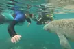 3 Hour Manatee Swim - Small Group w/complimentary photos! - Second Medium