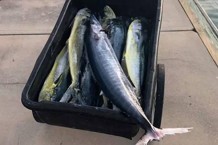 St. Augustine Fishing Charter Experience