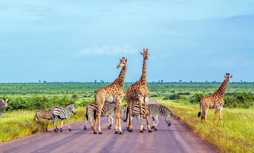 Image 14: ✈ AFRIQUE DU SUD | De Cap Town à Johannesburg - Sur les routes de l...