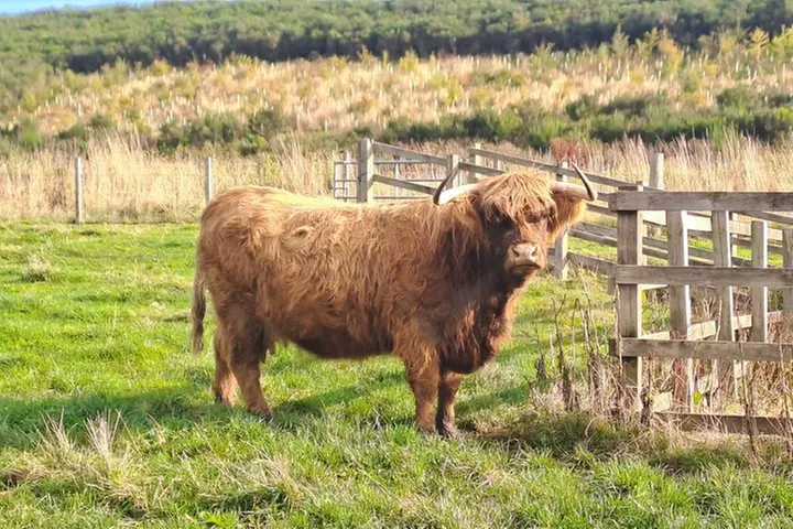 Loch Ness, Glencoe and The Highlands Small Group Tour - Primary Image