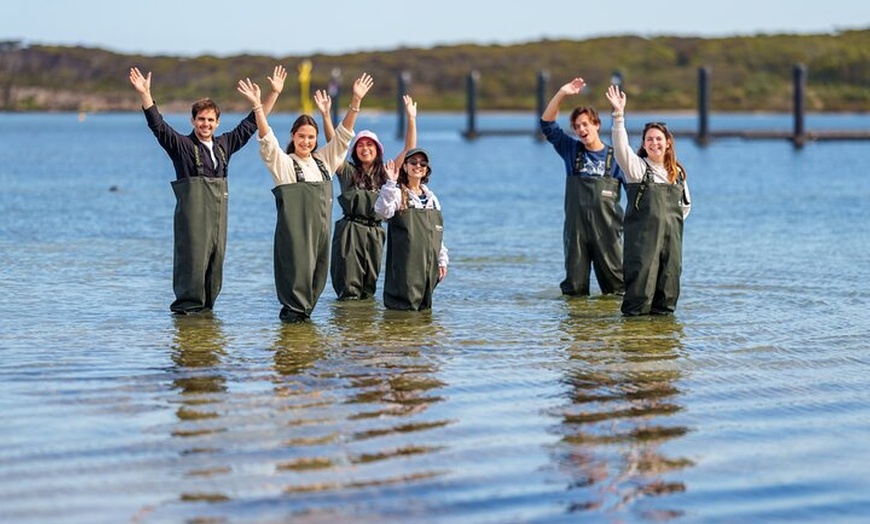 Image 8: Coffin Bay Tour with Oyster Shucking and Off Road Adventure