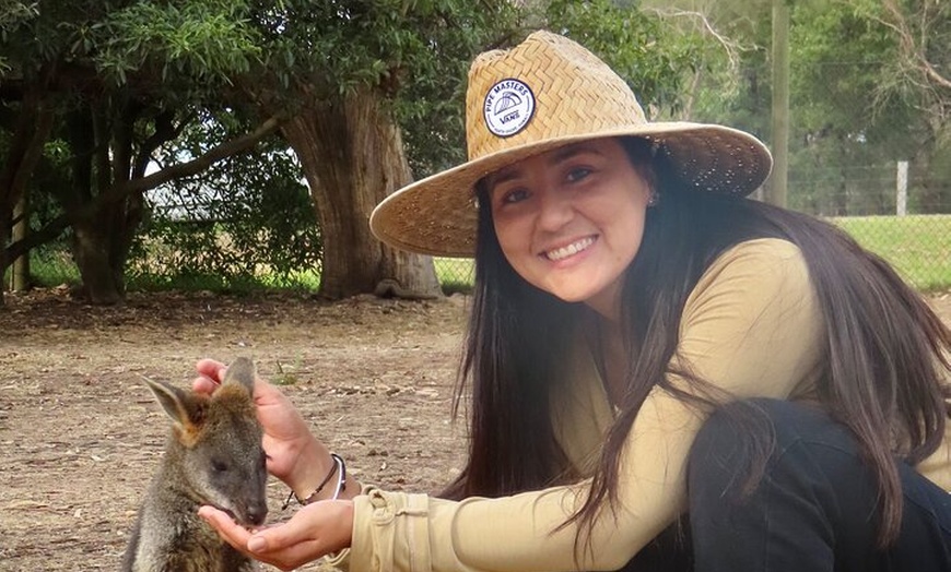 Image 4: Phillip Island Penguin Parade and Wildlife Tour from Melbourne