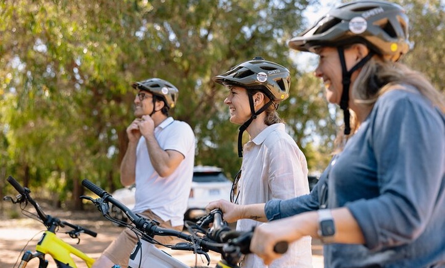 Image 3: Half Day Wadandi Track Scenic E-Bike Tour