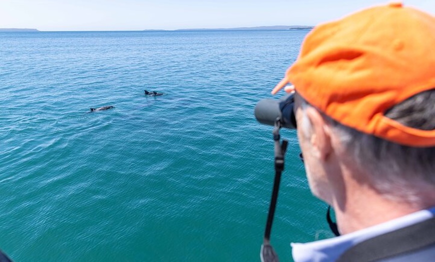 Image 16: All Inclusive Jervis Bay Day Tour Dolphin Cruise, Lunch &Blowhole