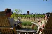Serene and Romantic Wine Tasting Next to the Vines in Napa Valley - Second Medium