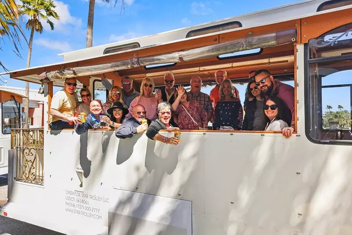 St Petersburg Ultimate (ALL-IN-ONE) City Trolley Tour