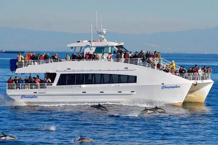 West Harbor LA Whale and Dolphin Watching Cruise