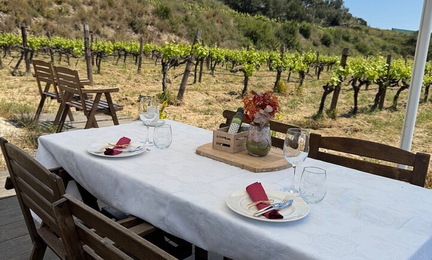 Image 22: Gaudí Unveiled & Premium Wine Escape - Tour Privado