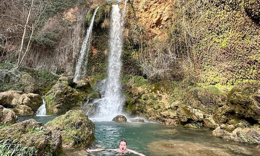 Image 6: Descubre la naturaleza mágica de Valencia